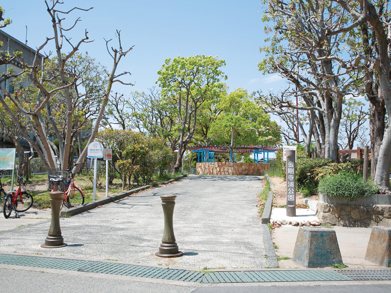 金剛寺浦公園界わい
